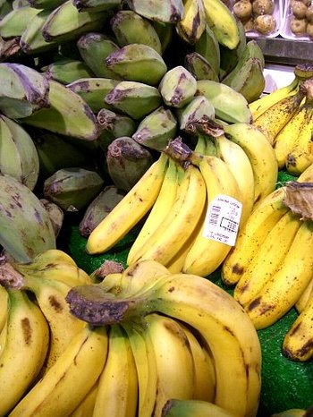 banana-20080425%2C%20047.jpg