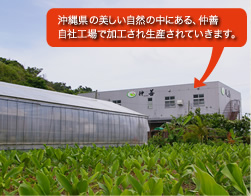 沖縄県の美しい自然の中にある、仲善自社工場で加工され生産されていきます。